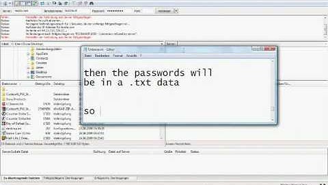 Codesoft PW Stealer V0.5 German TUT