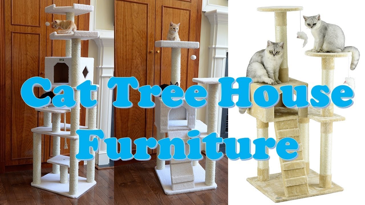Top 10 Best Cat Tree House Furniture 2023 YouTube