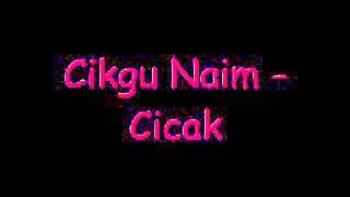 Cikgu Naim   Cicak