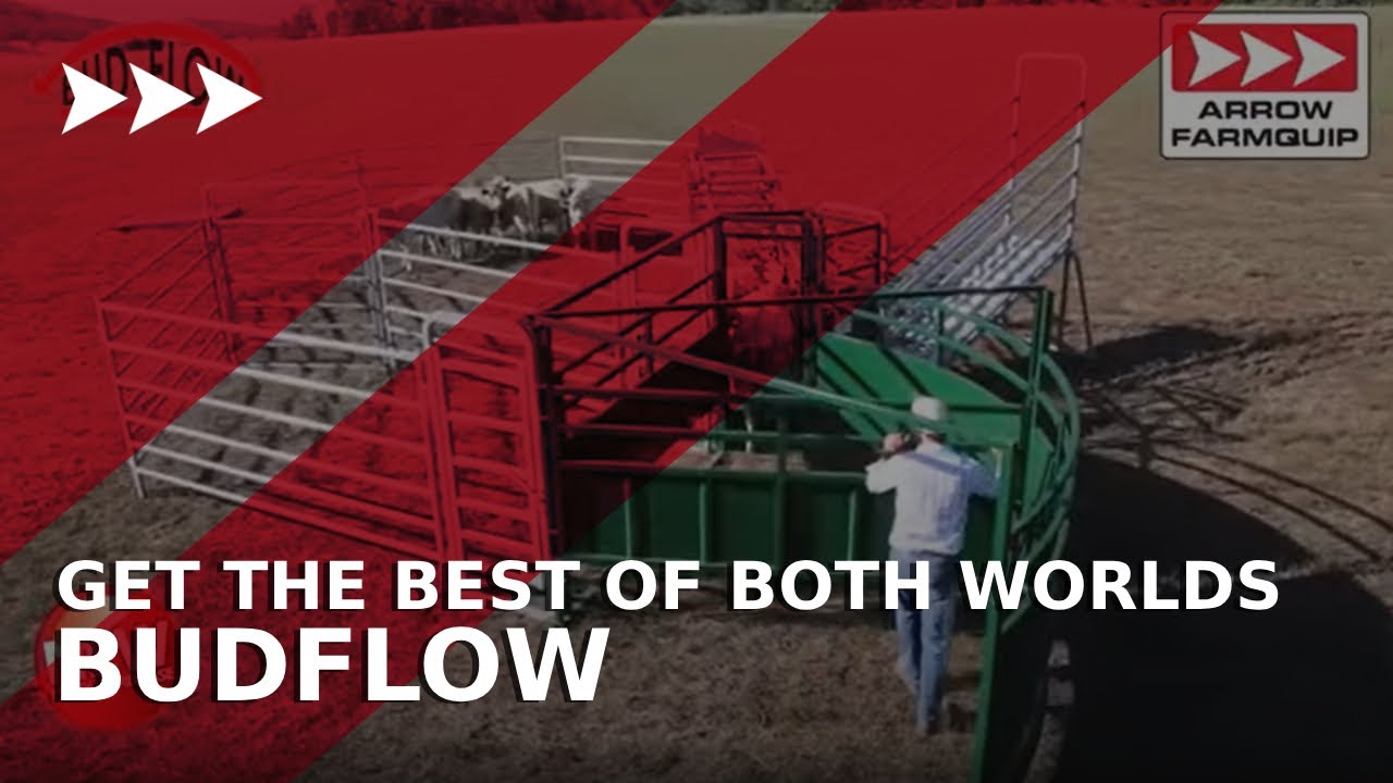 BudFlow: Get the best of both worlds! - YouTube