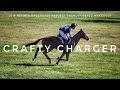 2019 Retired Racehorse Project Thoroughbred Makeover: Crafty Charger (Eventing)