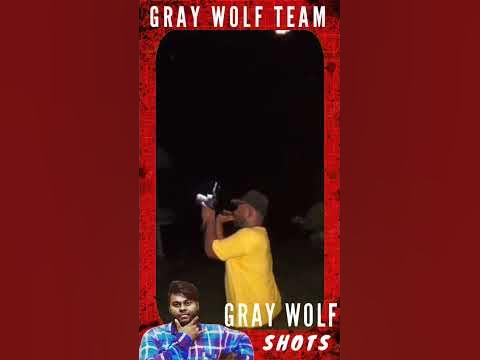 this place | this video | close my heart | GRAY WOLF | GRAY WOLF SHOTS