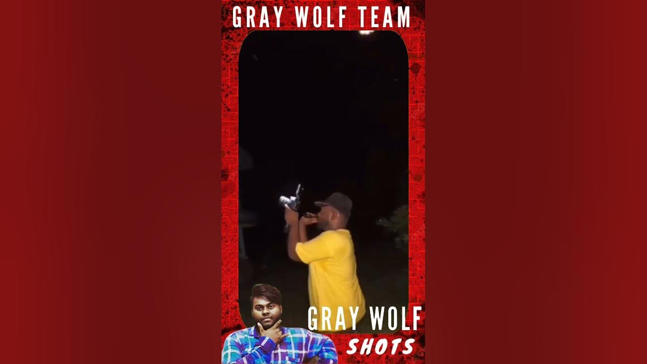this place | this video | close my heart | GRAY WOLF | GRAY WOLF SHOTS