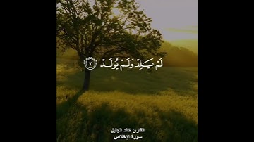 سورة الاخلاص ✨❤️