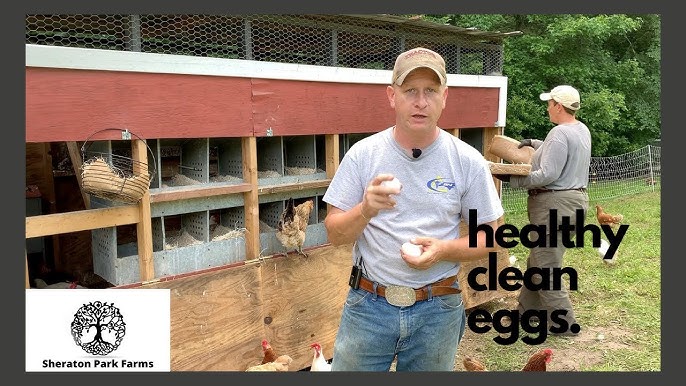 How To Tuesday: How to Clean Farm Fresh Eggs - Homemade Home