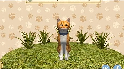 Cat Simulator: Kitties Family | gameplay walkthrough part 2 | Red Chilli Gaming | Android iOS