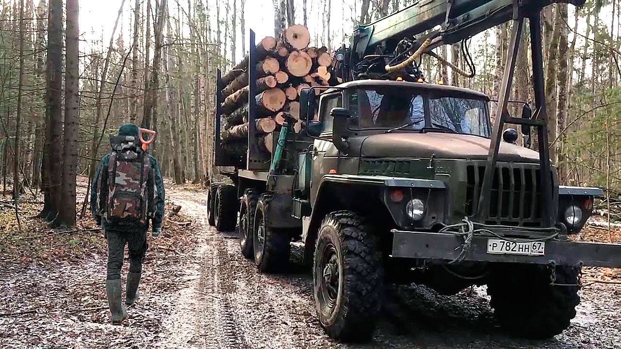 Гонки на лесовозах опасные лесные дороги урал камаз