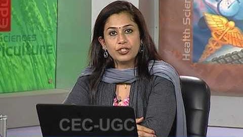 Hardware Description Languages