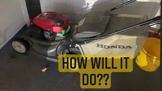 Leaf Cleanup with a Honda HRX 217