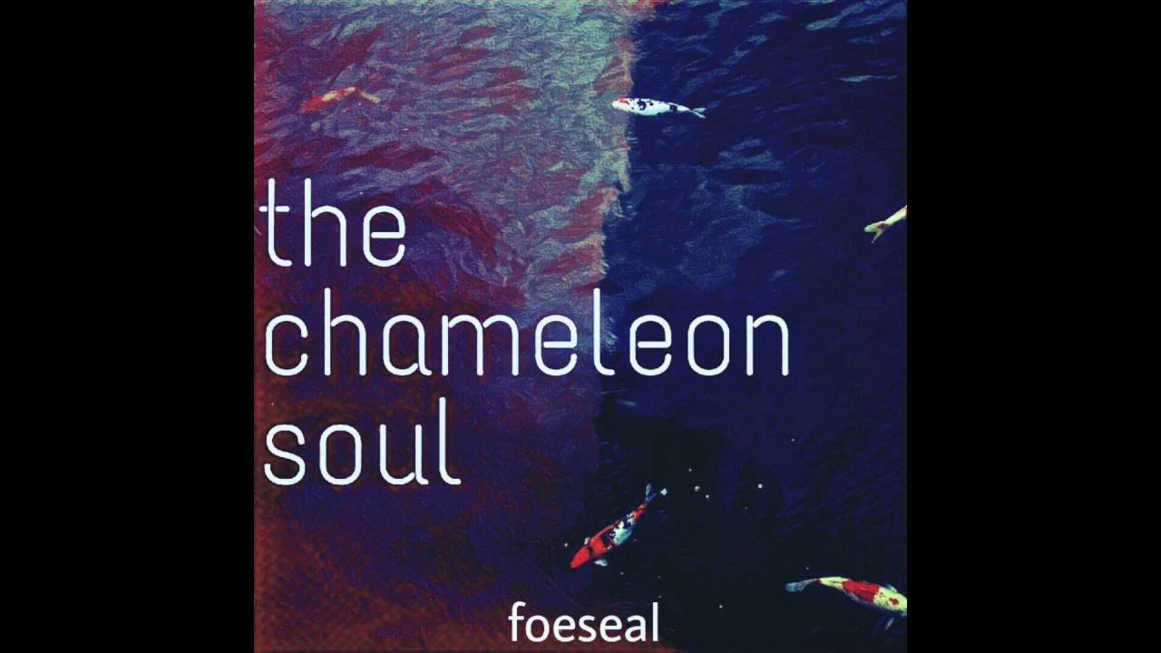 Foeseal - Friends | A Soulful Connection from The Chameleon Soul EP!
