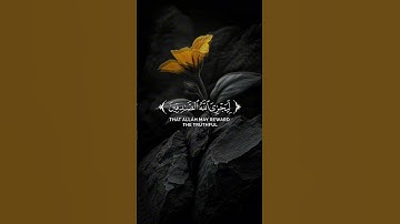 سورة الاحزاب  سعد الغامدي #القرآن_الكريم #قرآن