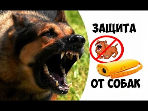 Лучшая защита от собак отзывы