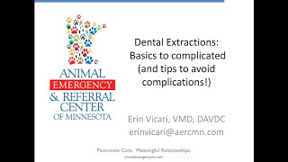 Veterinary Dental Extractions: Basics to complicated (and tricks to avoid complications!)