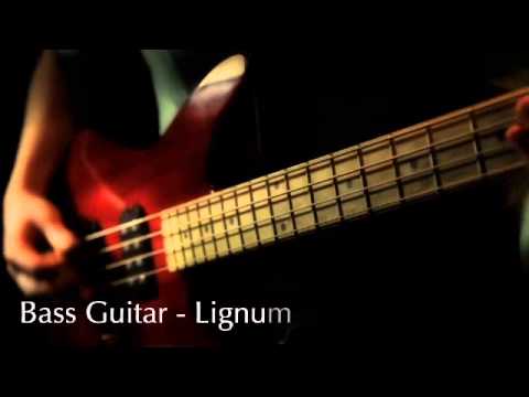 Timber Tones - Lignum Vitae sur une basse