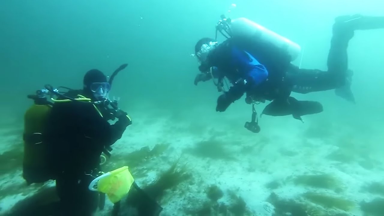 Scuba Diving for scallops west Norway Florø in April - YouTube