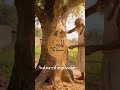 Al Mateen#real craft studio #craftman#ai#shorts #youtube #crafted reality # wood