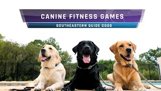 Canine Fitness Games