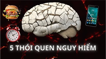 CẢNH BÁO 5 Thói Quen Đang PHÁ HỦY Não Bộ Của Bạn Mỗi Ngày