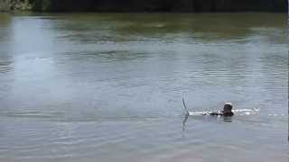 Water skiing -  how to deep water slalom start (please read text below)
