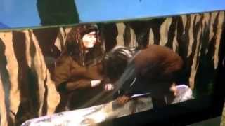 Tarzan Kerchak Sure As Sun Turns To Moon