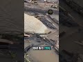 manipulasi hewan predator#viral #shorts #shortvideo #buaya #buayasungai #animals #viralvideo #fakta