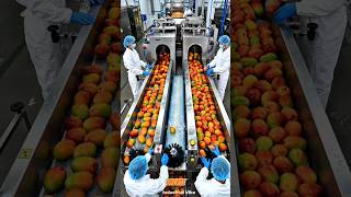 HOW DRIED MANGO IS MADE | Inside the Industrial Dry Mango Factory Process |