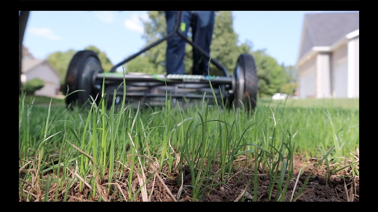 Is THIS ok on a NEW LAWN?! // FIRST MOW JOB YouTube