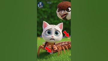 Mèo con bị biến thành rết #cat #shorts #AI #meow #meo