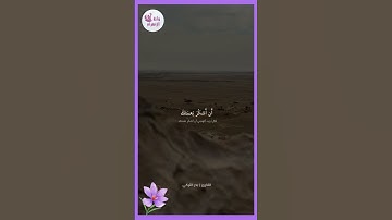 تلاوة خاشعة من سورة الأحقاف للقارئ بدر التركي🗣