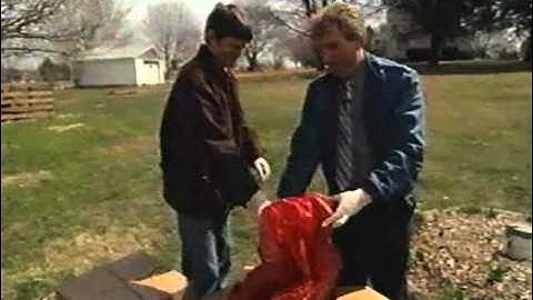 TV Nation - Crime Scene Clean-up
