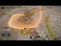 Space Mage Duel Elden Ring