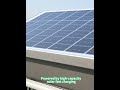 self cleaning solar power mosquito fly killer lamp launched!