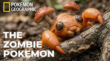 The Zombie Host: The Horrifying Biology of Parasect