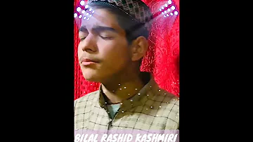 Heart Touching Naat Status L Shubi Veni Mashooq ﷺ Myane L Bilal Rashid Kashmiri Bestnaat Shorts 