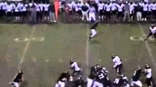 Dothan High School - Adrian Kirkland WR #8 highlights