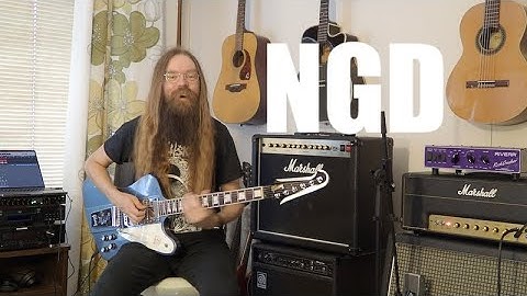 NGD: Gibson Firebird VII 2015