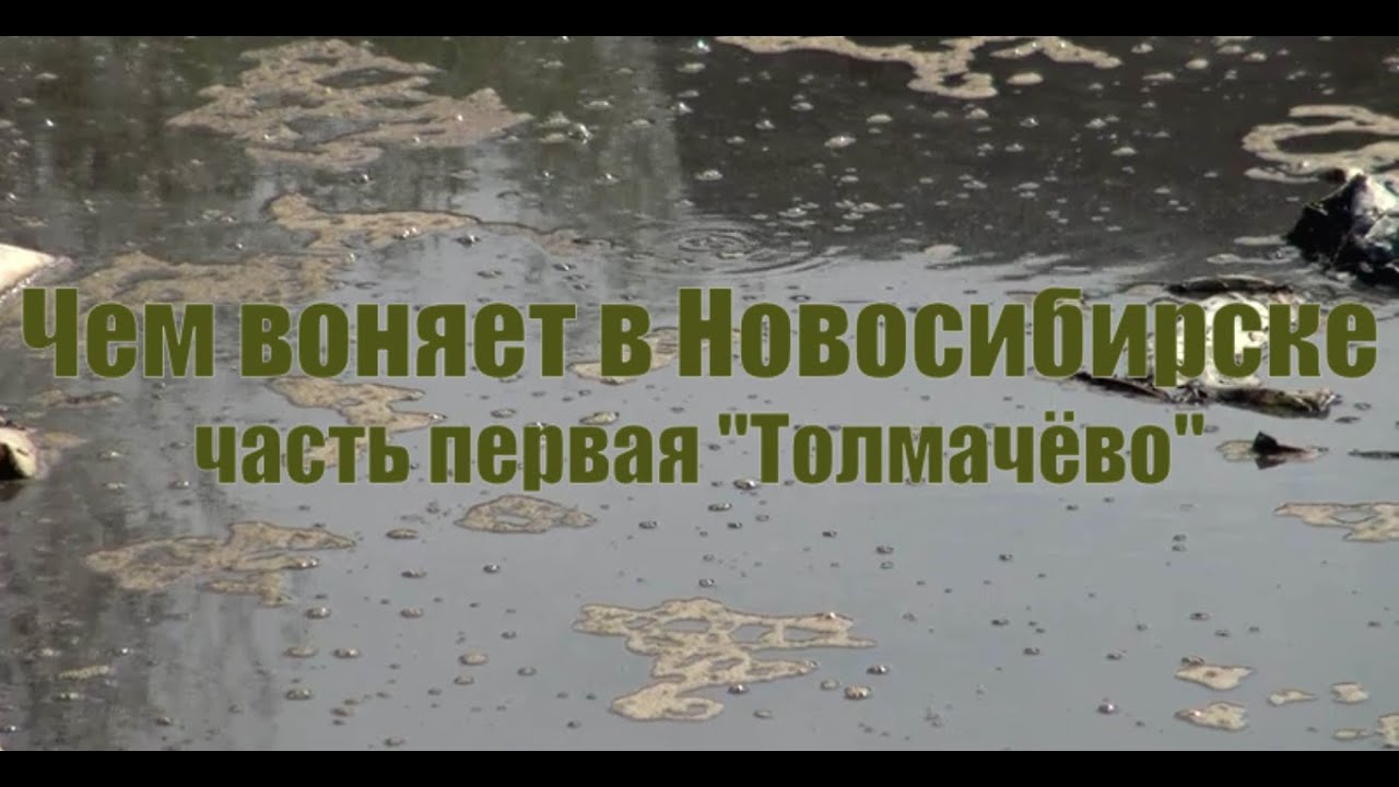 В машине воняет говном
