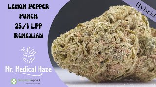 Med. C. 🥦 Sorten Review Lemon Pepper Punch 25/1 LPP (4K) von Remexian