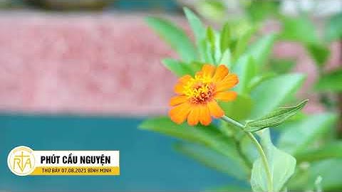 Phút Cầu Nguyện, Thứ Bảy 07/08/2021: Lo Xa Sẽ Ít Buồn Gần