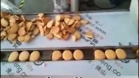 Cookies Wrapping Machine,Cookie Flow Wrap Packaging Machine