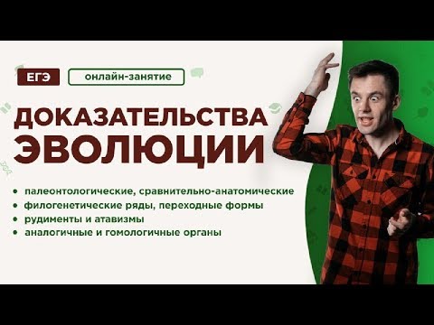 Video: Палеонтология эволюцияны кантип колдойт?