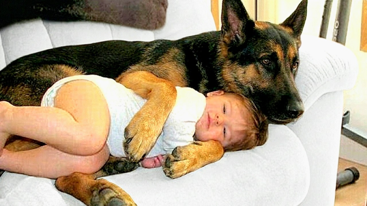 When Your Dogs Become the Best Babysitters ❤️