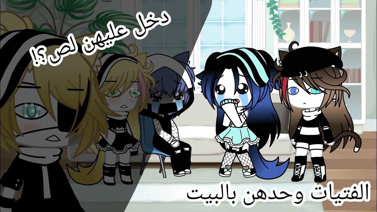 يوميات، الفتيات وحدهن بالبيت، دخل لص