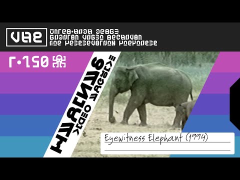 VHS: Eyewitness Elephant (1994)