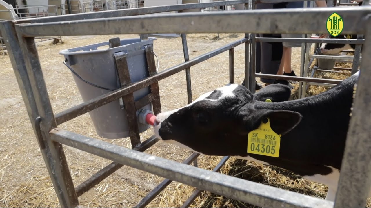 Stredná odborná škola poľnohospodárstva a služieb na vidieku v Trnave