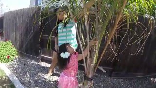 Easter 2016