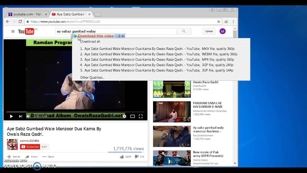 internet youtube video download manager free download