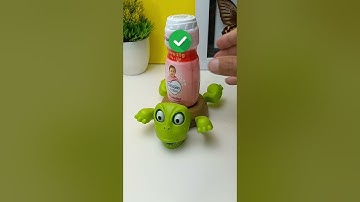 Cute adorable turtles - Turtle coaster #turtle #coaster #turtlecoaster #fyp #fun #gift part56