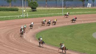 Vidéo de la course PMU PRIX DE LA CREUSE