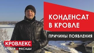 Конденсат в кровле. Пароизоляция и проблемы от мелкого брака.